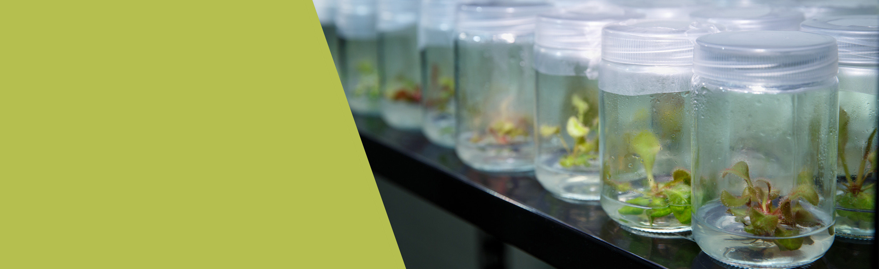 Developed and tested in our own lab.